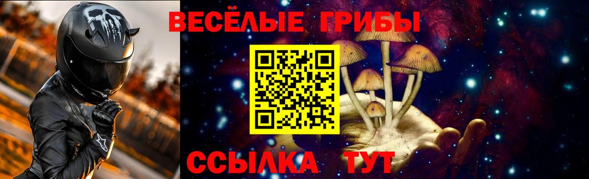 Кудымкар  Псилоцибиновые грибы прущие грибы  Вход с VPN 